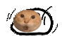 表情