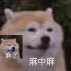 表情