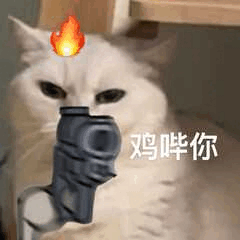 表情