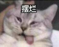 表情