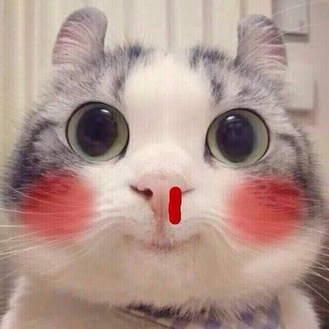 表情