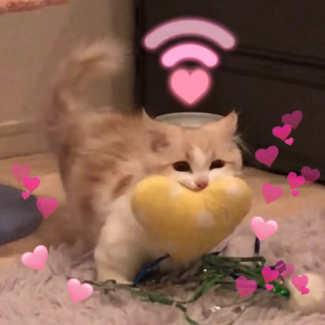表情
