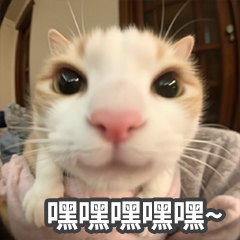 表情