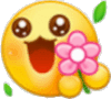 表情