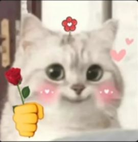表情