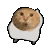 表情